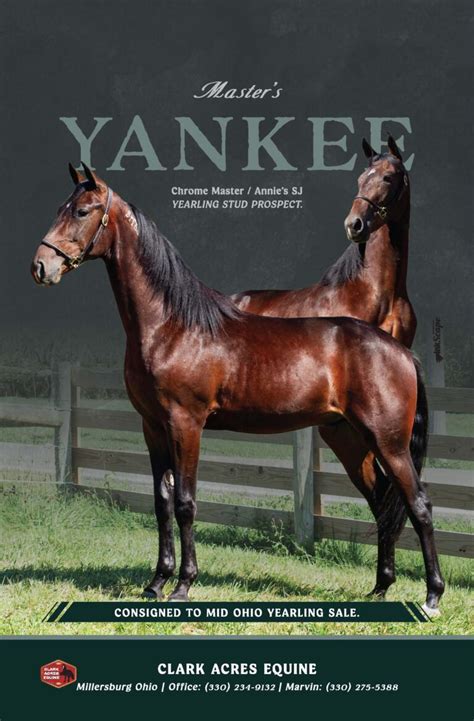 standardbred sale delaware ohio.
